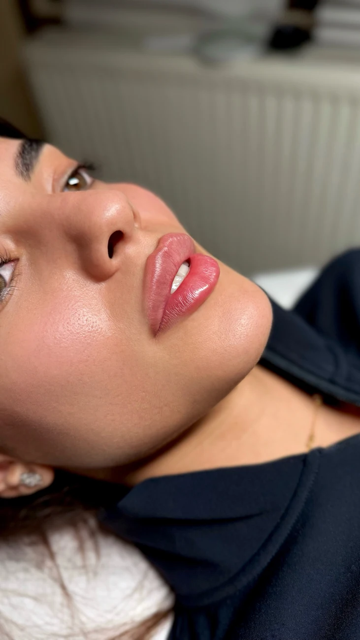 Natural-looking lip work illustrating Nude Lips